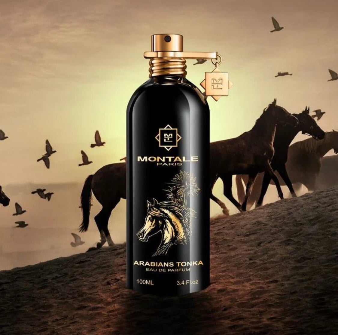 Montale Arabians Tonka